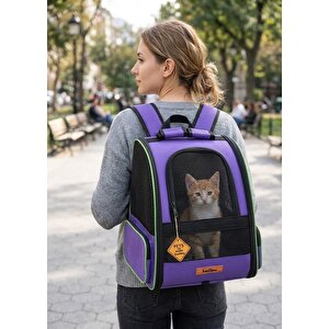 Brave Paws Kare Model Plastik Fileli Kedi Ve Köpek Taşıma Çantası Gri