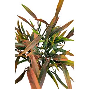 Yapay Çiçek Bambu Grass Turuncu 40cm Demet Garnitür Aradal Dekoratif Yapay Bitki