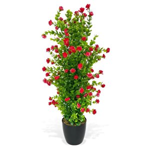 Yapay Çiçek Siyah Saksıda Kırmızı Mineli Şimşir Ağacı 55cm
