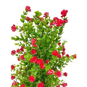 Yapay Çiçek Siyah Saksıda Kırmızı Mineli Şimşir Ağacı 55cm