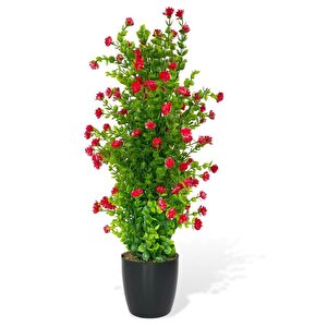 Yapay Çiçek Siyah Saksıda Kırmızı Mineli Şimşir Ağacı 55cm