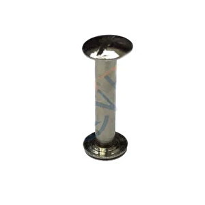Cilt Menü, Katalog, Kartela Vidası, 20 Mm - Nikel, 100 Adet T20