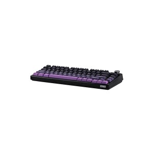 He75 Mag Black Purple He Gateron White Manyetik Switch Rgb Kablosuz Mekanik Gaming Klavye