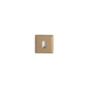 Ro17 Kapı Kolu Rozeti Oda Gold Branch 53x53x10 Mm