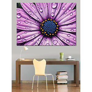 Üzerinde Su Damlaları Olan Çiçek Dekoratif Kanvas - Mdf Ahşap Tablo 70x100 cm