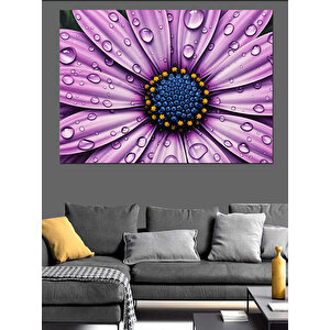 Üzerinde Su Damlaları Olan Çiçek Dekoratif Kanvas - Mdf Ahşap Tablo 70x100 cm
