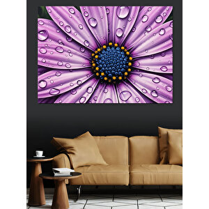Üzerinde Su Damlaları Olan Çiçek Dekoratif Kanvas - Mdf Ahşap Tablo 70x100 cm
