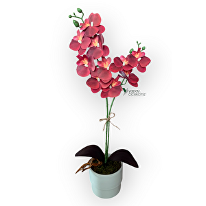 Modern Tasarim Beyaz Renkli̇ Saksida 2 Dalli Yapay Islak Orki̇de 50 Cm Bordo