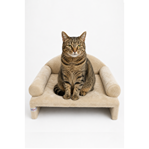 Pet Peluş Kedi Koltuğu, Kedi Kanepesi, Kedi Yatağı, Evcil Hayvan Dinlenme Koltuğu, Rahat Kedi Sofa Yatağı, 45x33x25 cm Bej