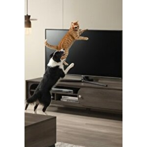 Y Tipi Mobilyaya Kendinden Yapışkanlı Lcd Tv Askısı Sabitleme Çoçuk Deprem Koruma Güvenlik Kemeri