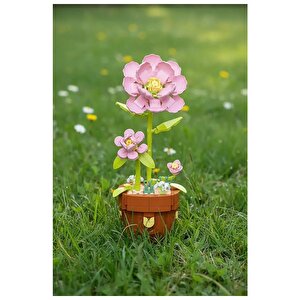 Pembe Japon Gülü Botanik Koleksiyonu 315 Parça