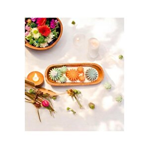 Çöl Çiçekleri Doğal Mum Temalı El Yapımı %100 Doğal Soya Wax Kokulu Dekoratif Mum