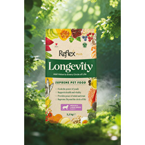 Plus Longevity Hipoalerjenik Orta Ve Büyük Irk Yavru Köpek Maması 3,2kg