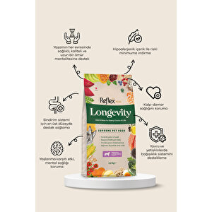 Plus Longevity Hipoalerjenik Orta Ve Büyük Irk Yavru Köpek Maması 3,2kg