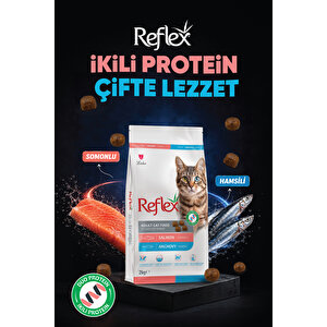 Somonlu Ve Hamsili Yetişkin Kedi Maması 2kg