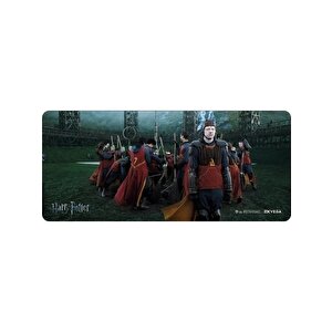 Exvega Harry Potter Ron Weasley Mousepad Xxl