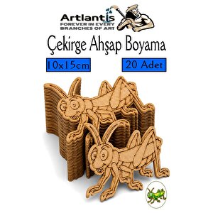 Ahşap Boyama Böcekler 20 Adet 10x15cm Boyama Böcek Figürleri Etkinlik Çocuk Gelişim Motor Beceri Kreş Anasınıfı