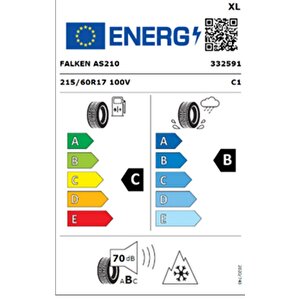 215/60 R17 Tl 100v Xl Euroall Season As210 Dört Mevsim Lastiği (üretim Tarihi:2026)