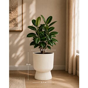 So-ltsa03 Lotus Ayaklı Plastik Vazo Çiçek Saksı 10,5 Litre No: 3 Beyaz