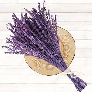 12li Set Toptan Kuru Lavanta Çiçeği Mor Şoklanmış Stabilize Bozulmaz İthal Dökülmez Yoğun Kokulu
