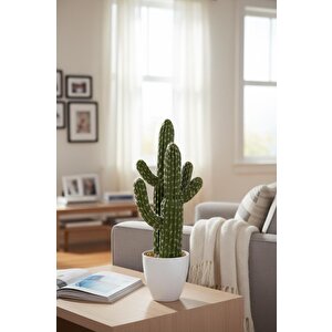 Yapay Kaktüs Ağacı 3 Kollu 2li Set - Beyaz Saksıda Yapay Bitki 53*20cm