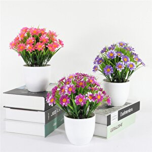 3lü Set Yapay Çiçek Papatya Beyaz Saksıda Karışık Renkler