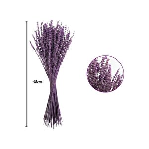 4lü Set Kuru Lavanta Çiçeği Mor Şoklanmış Stabilize Bozulmaz İthal Kalite Dökülmez Yoğun Kokuklu