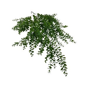 Yapay Çiçek Sarkan Şimşir Okaliptus Jumbo Boy 75*35cm Yapay Sarmaşık