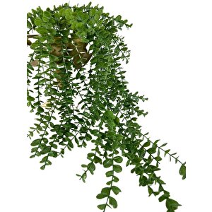Yapay Çiçek Sarkan Şimşir Okaliptus Jumbo Boy 75*35cm Yapay Sarmaşık