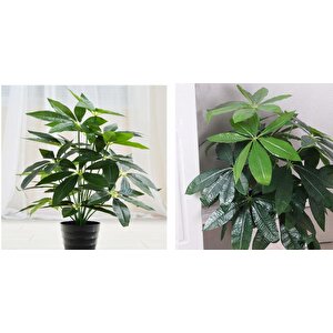 Yapay Çiçek Demet Şeflera Bitkisi 18dal 75cm Salon Çiçeği Yapay Bitki Pachira Macrocarpa