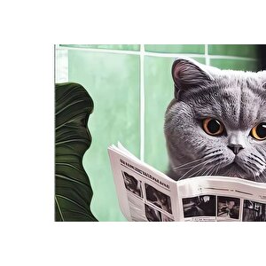 Cat Baskili Dokuma Taban Hali, 213 Yng, 100x150  Cm