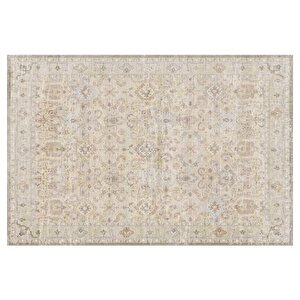 Ai̇da Home Ryella Salon Halisi, 80x150