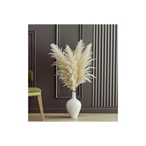 Fulfly Şoklanmiş Pamuklu Pampas, 10 Adet
