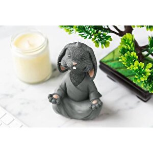 Yoga Yapan Tavşan Bi̇blo Büyük Boy, Gri̇