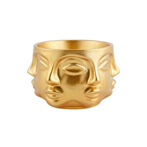 Adler Saksi Orta Boy Gold