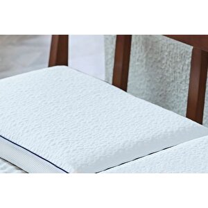 Longplus Vi̇sco Yastik, 70x40x12