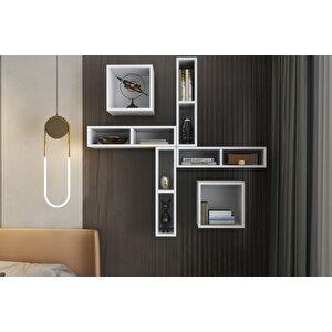 Aydin Ki̇taplikli Raf, Nrg-dvr-1019