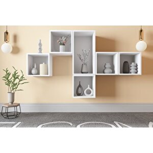 Aydin Ki̇taplikli Raf, Nrg-dvr-1009