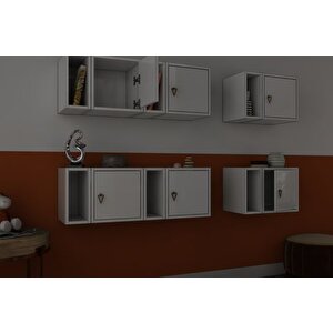 Aydin Ki̇taplikli Raf, Nrg-dvr-1003