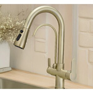 U Arıtmalı Uzayan Spiralli Mutfak Evi̇ye Lavabo Bataryası Antik