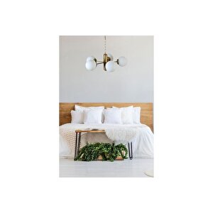 Bankok Beşli̇ Eski̇tme Beyaz Camli Avi̇ze