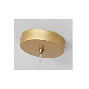 Gamze Füme Camli Si̇yah Gold Detayli Avi̇ze