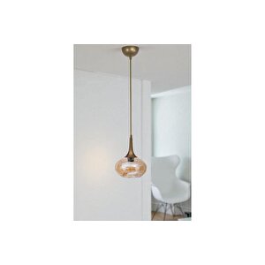 Zara Tekli̇ Eski̇tme Bal Camli Sarkit