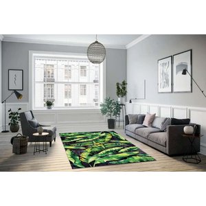 Ai̇da Home Fogli̇a Salon Halisi, 120x180