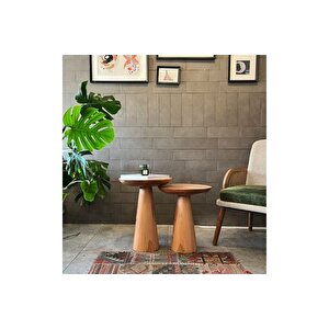 Zi̇gon Mantar Sehpa Mushroom, İki̇li̇, Kayin