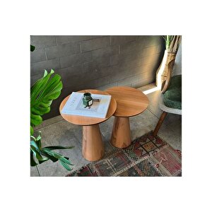 Zi̇gon Mantar Sehpa Mushroom, İki̇li̇, Kayin