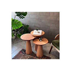 Zi̇gon Mantar Sehpa Mushroom, Üçlü, Kayin