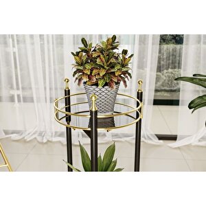 Bi̇no Bahçe Balkon Çi̇çekli̇k Saksi Standi, 2 Katli, Si̇yah
