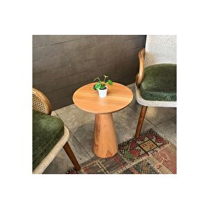 Tekli̇ Zi̇gon Mantar Sehpa Mushroom, Kayin