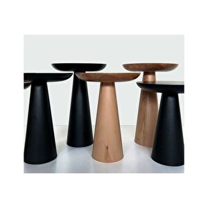 Tekli̇ Zi̇gon Mantar Sehpa Mushroom, Kayin